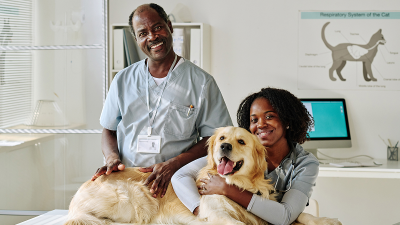Veterinarian and a dog